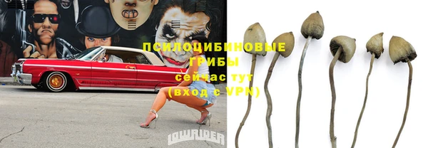 Альфа ПВП Белоозёрский
