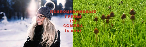 Альфа ПВП Белоозёрский