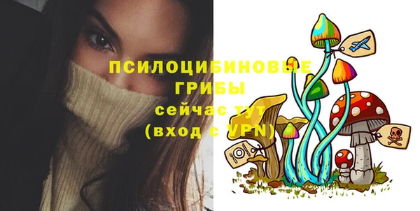 круглые Белокуриха